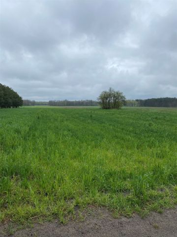 Działka rolno-budowlana Wrzeszczewice. Zdjęcie 1