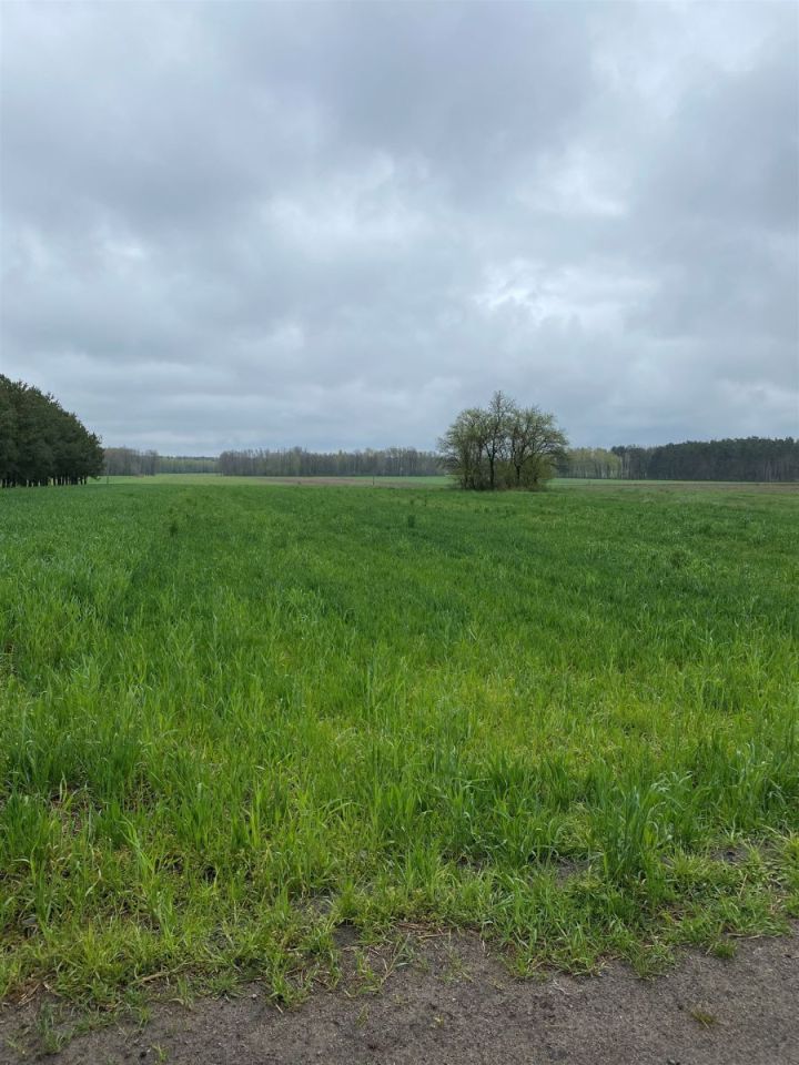 Działka rolno-budowlana Wrzeszczewice