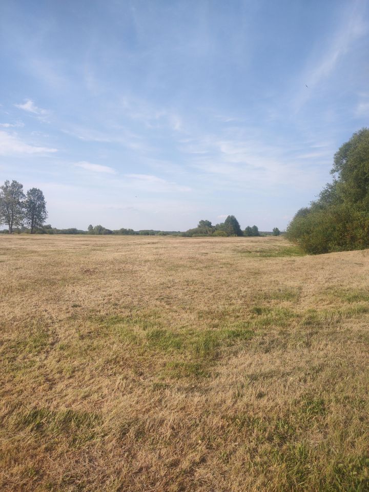 Działka rolna Słomianka Sępiki. Zdjęcie 5