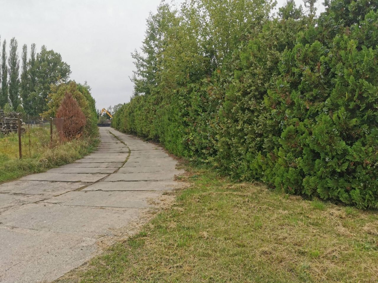 Hala/magazyn Złotów. Zdjęcie 10