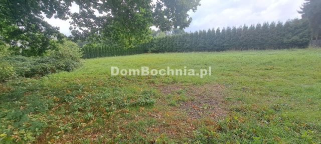 Działka Strumiany. Zdjęcie 6