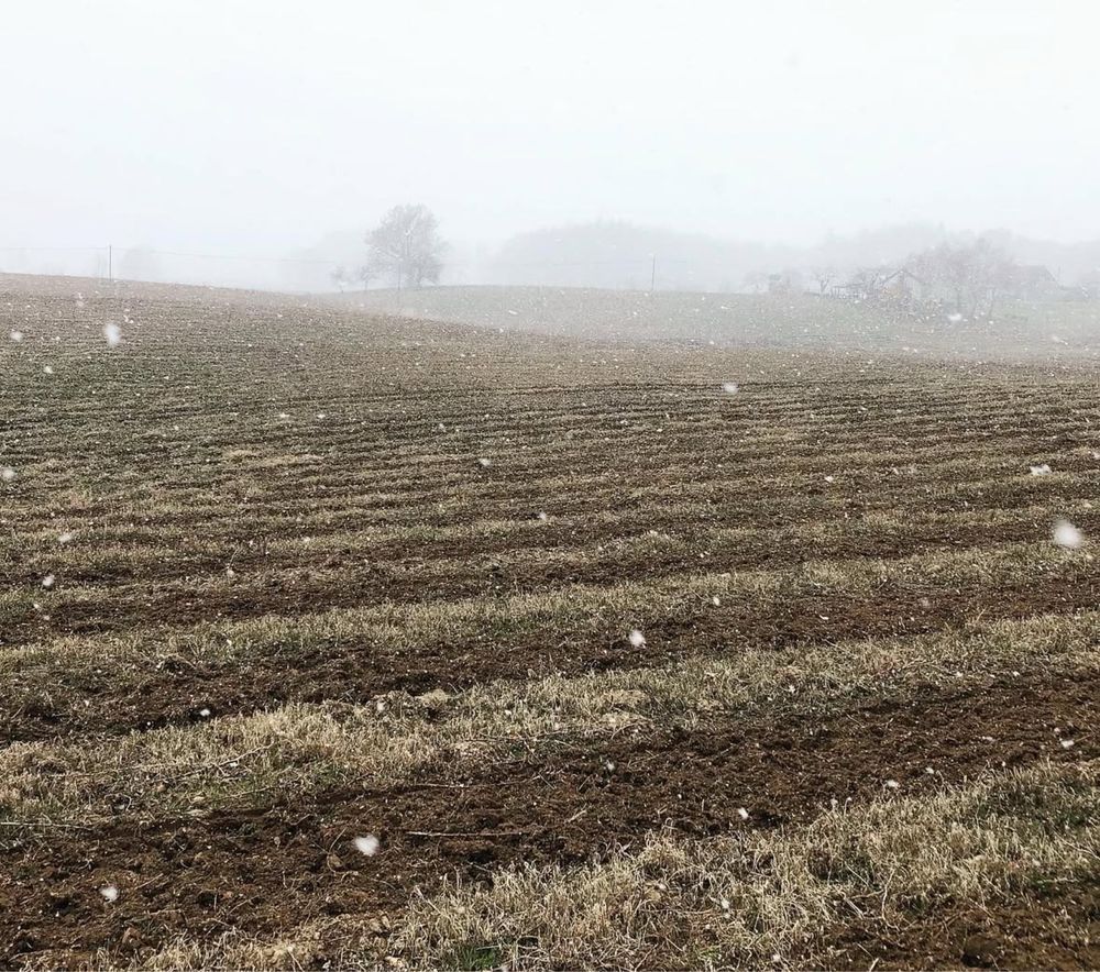 Działka siedliskowa Brzozowica. Zdjęcie 3