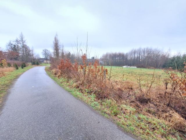 Działka budowlana Zaborów. Zdjęcie 3
