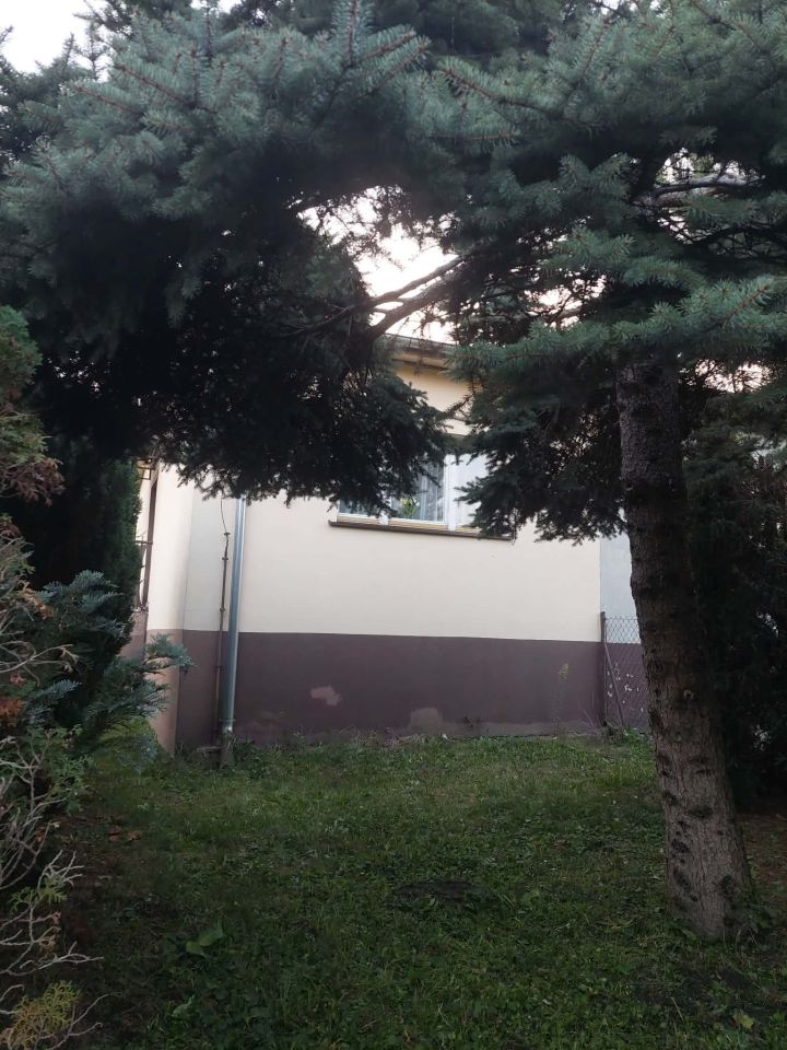 Mieszkanie 1-pokojowe Rogów-Wieś, ul. Akacjowa. Zdjęcie 11