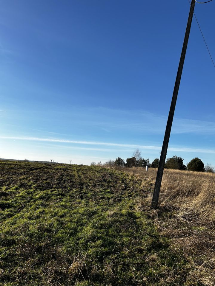 Działka rolno-budowlana Moryń, ul. Owocowa. Zdjęcie 5