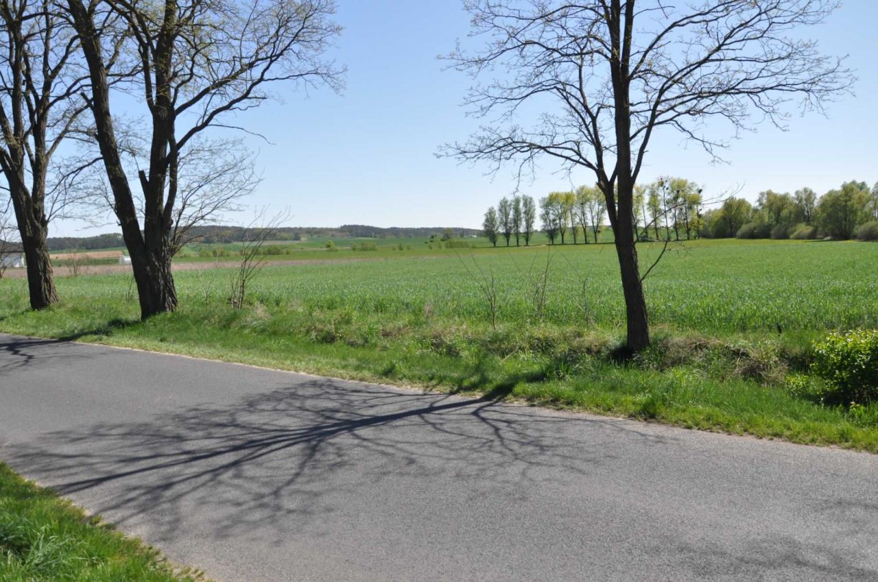 Działka rolna Jabłowo Pałuckie. Zdjęcie 4