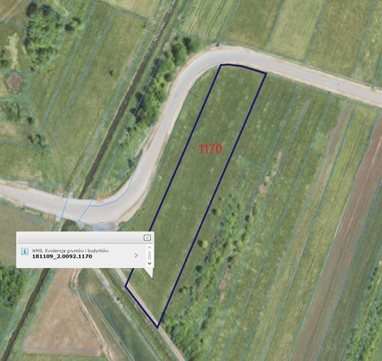 Działka rolna Grochowe. Zdjęcie 4