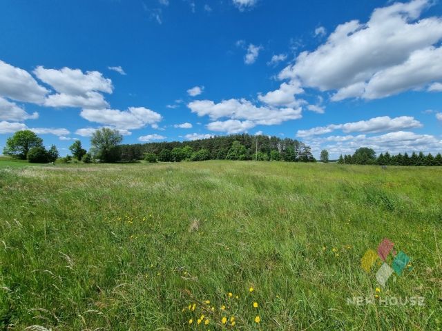 Działka Probark. Zdjęcie 4