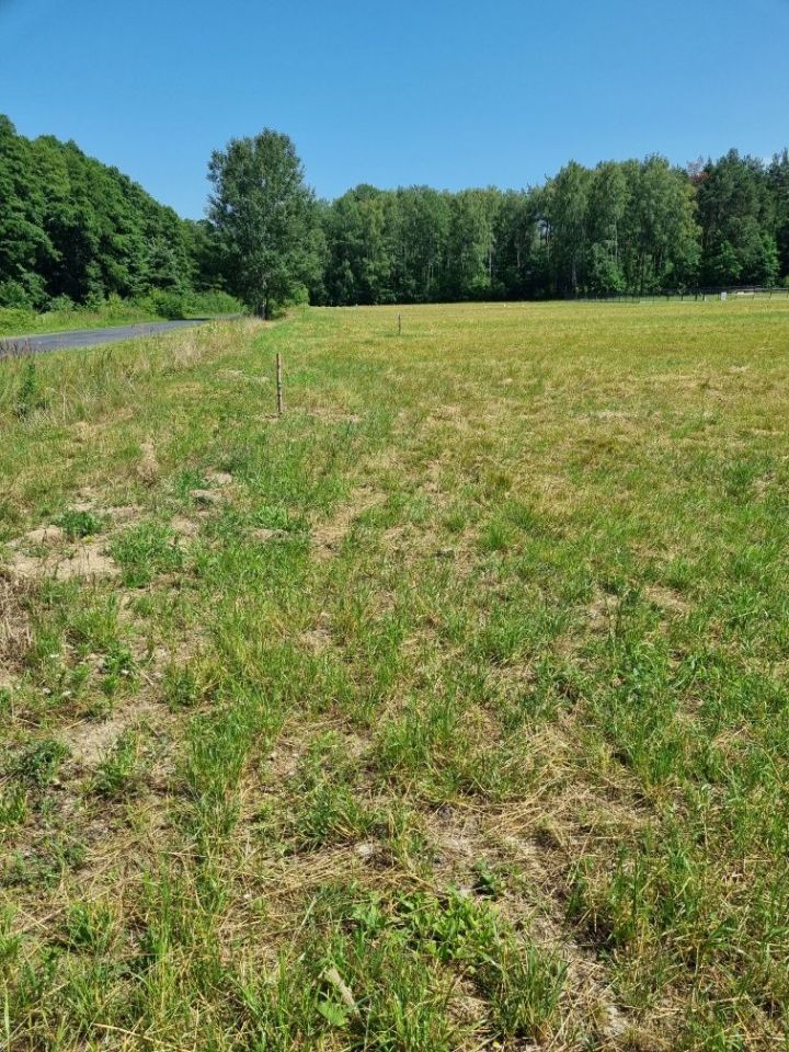 Działka budowlana Gąba. Zdjęcie 3