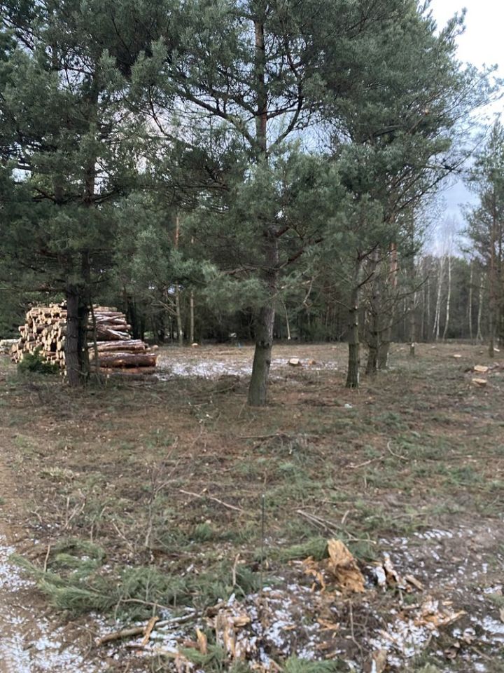 Działka rolno-budowlana Ruda-Pniewnik. Zdjęcie 7