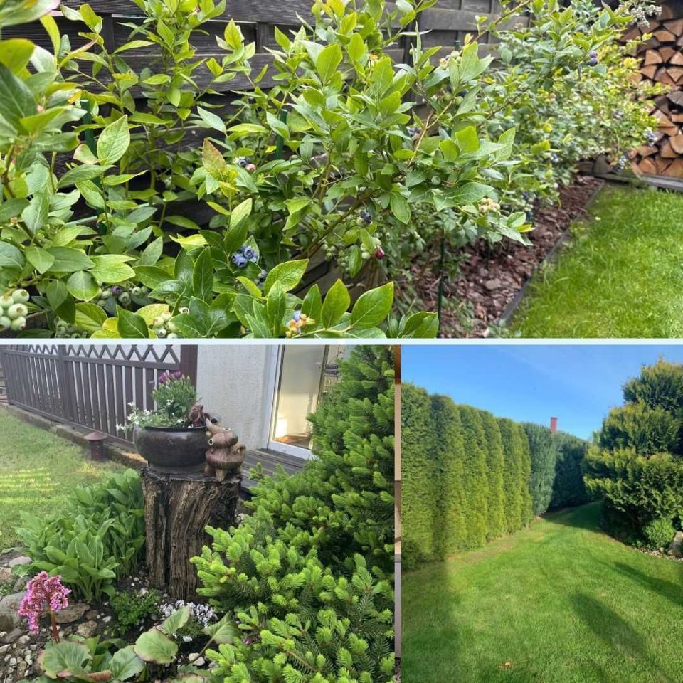 Działka rod Człuchów. Zdjęcie 7