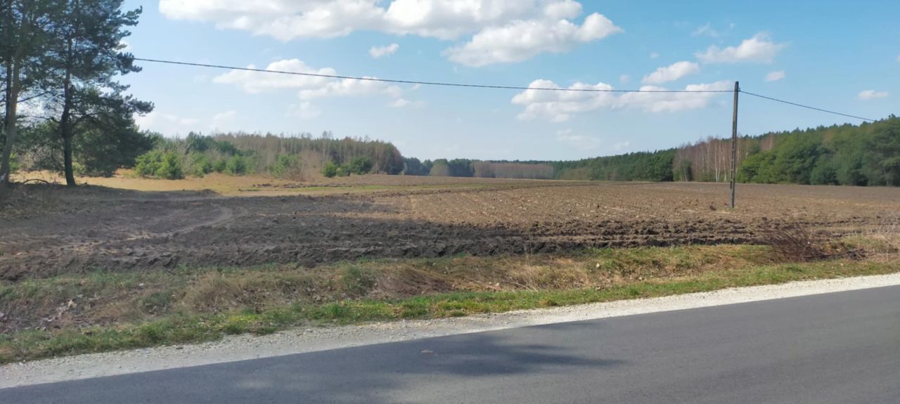 Działka rolna Przerąb. Zdjęcie 6