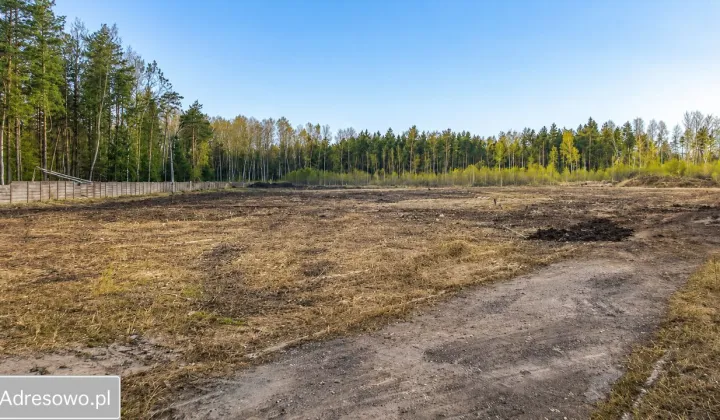 Działka inwestycyjna Lipie