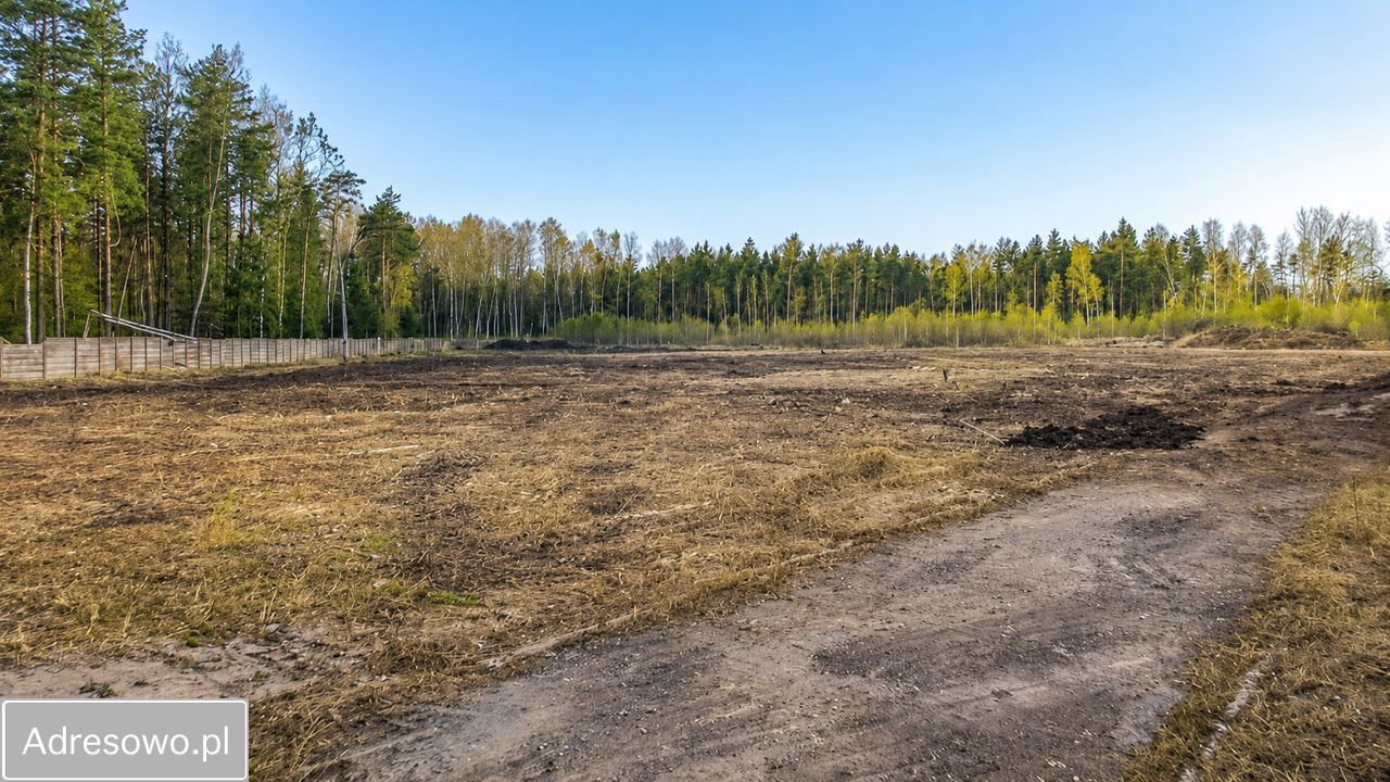 Działka inwestycyjna Lipie. Zdjęcie 1