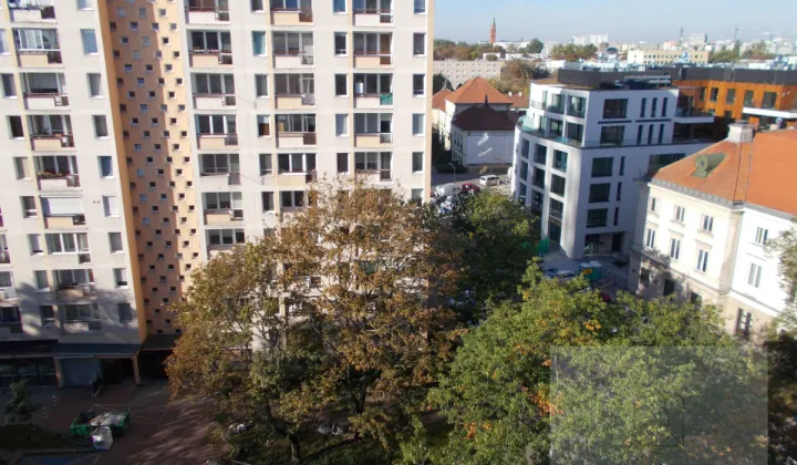 Mieszkanie 1-pokojowe Warszawa Śródmieście