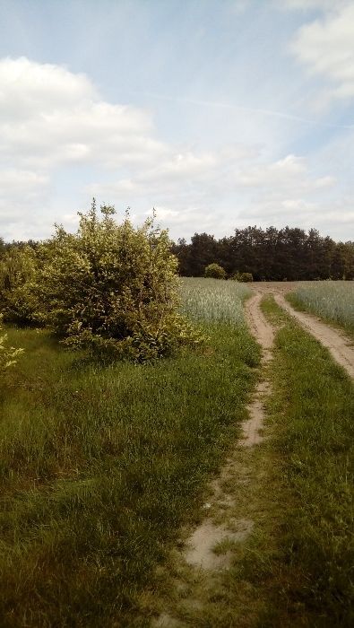 Działka rolna Kadłubówka