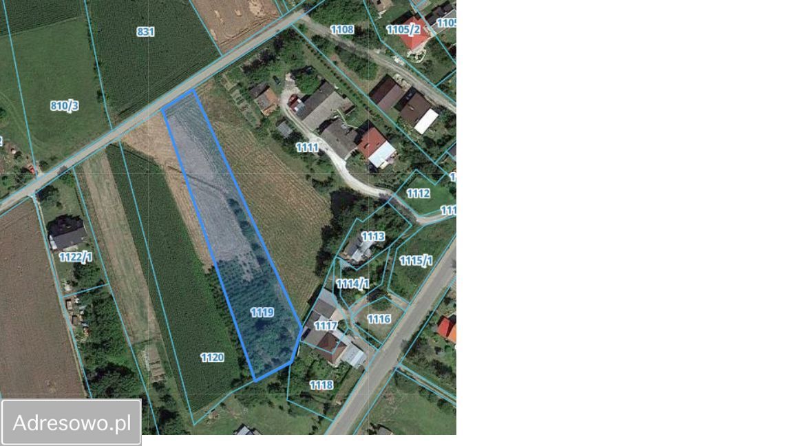 Działka rolno-budowlana Studzian. Zdjęcie 2