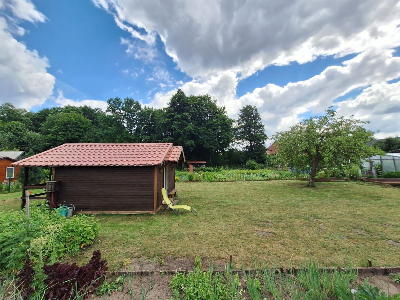 Działka rod Supraśl. Zdjęcie 4