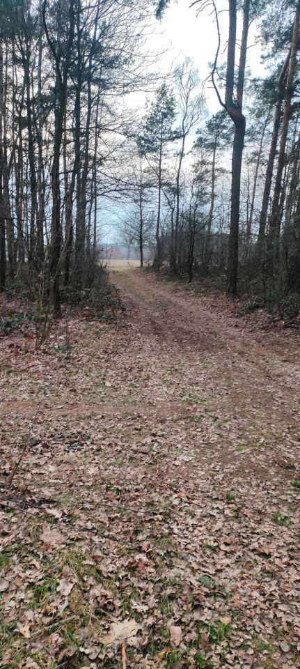 Działka rolno-budowlana Lesieniec. Zdjęcie 8