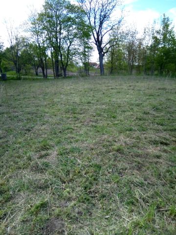 Działka rolno-budowlana Nowe Guty, Nowe Guty. Zdjęcie 5