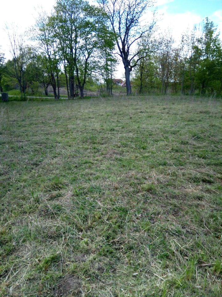 Działka rolno-budowlana Nowe Guty, Nowe Guty. Zdjęcie 5