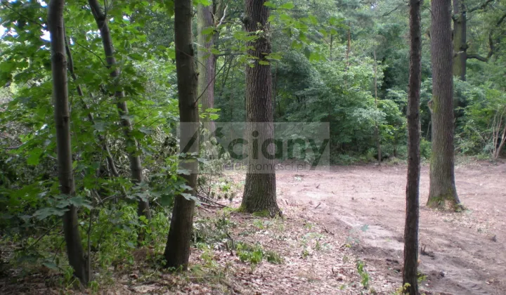 Działka budowlana Warszawa Wawer