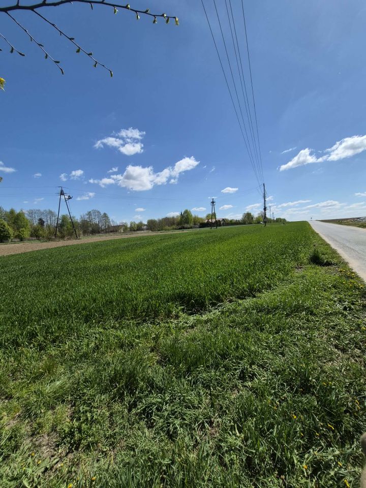 Działka rolno-budowlana Helenów, Brak. Zdjęcie 2