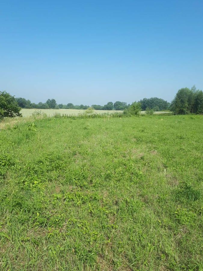 Działka rolna Tarnobrzeg Wielowieś, ul. Nowa. Zdjęcie 8