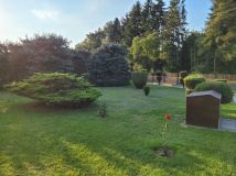 siedlisko Krasnystaw. Zdjęcie 4