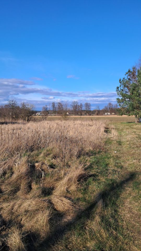 Działka budowlana Zławieś Mała, ul. Kasztanowa. Zdjęcie 3