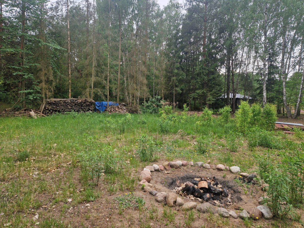 Działka budowlana Adamów-Wieś, ul. Polnych Kwiatów. Zdjęcie 7