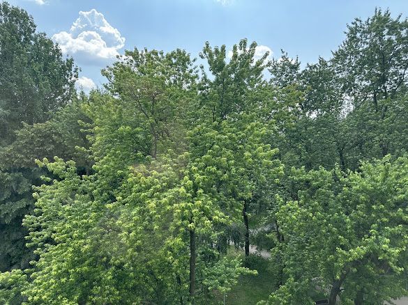 Mieszkanie 2-pokojowe Warszawa Mokotów, ul. Belwederska. Zdjęcie 5