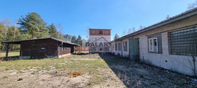 Lokal Sierzchów. Zdjęcie 5