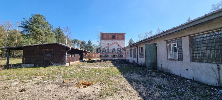 Lokal Sierzchów. Zdjęcie 5