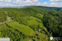 Działka rolno-budowlana Wilcza. Zdjęcie 3