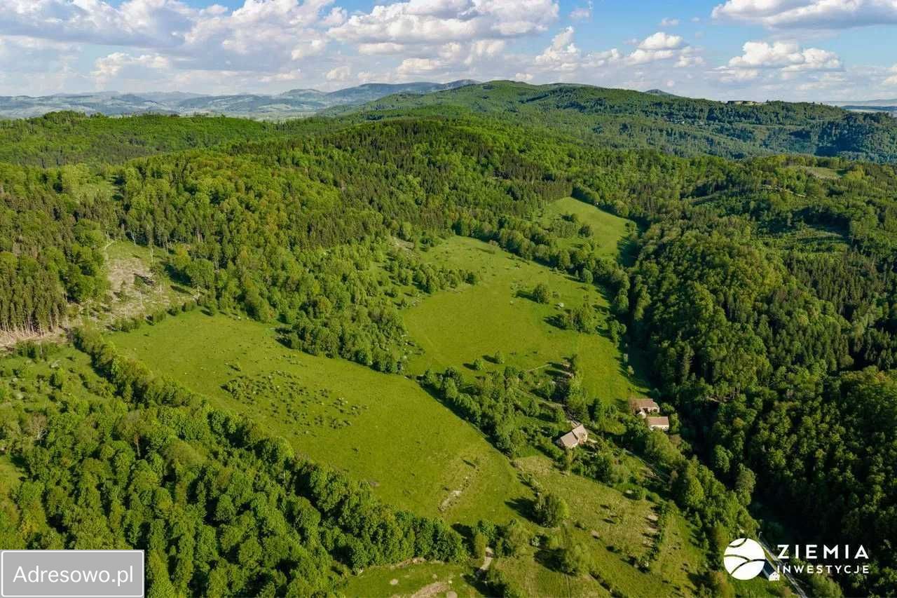 Działka rolno-budowlana Wilcza. Zdjęcie 4