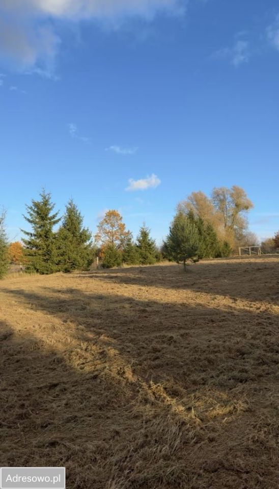 Działka budowlana Dołuje, ul. Daniela. Zdjęcie 9