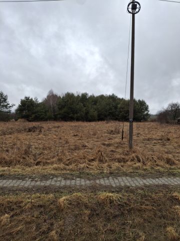 Działka budowlana Kolonia Bogoria. Zdjęcie 1