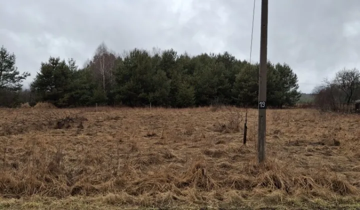Działka budowlana Kolonia Bogoria
