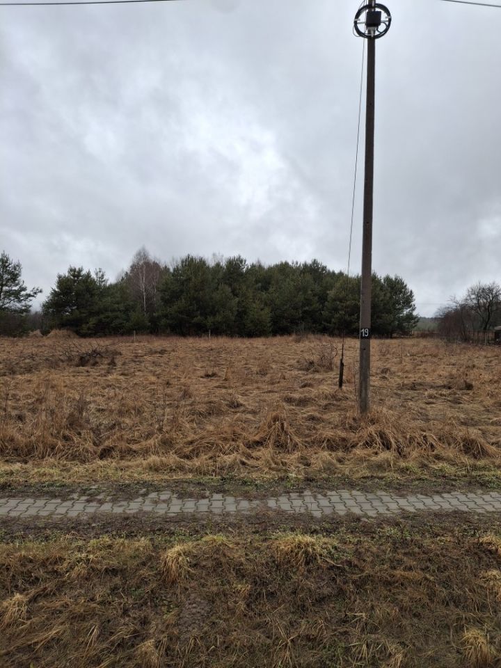 Działka budowlana Kolonia Bogoria. Zdjęcie 1