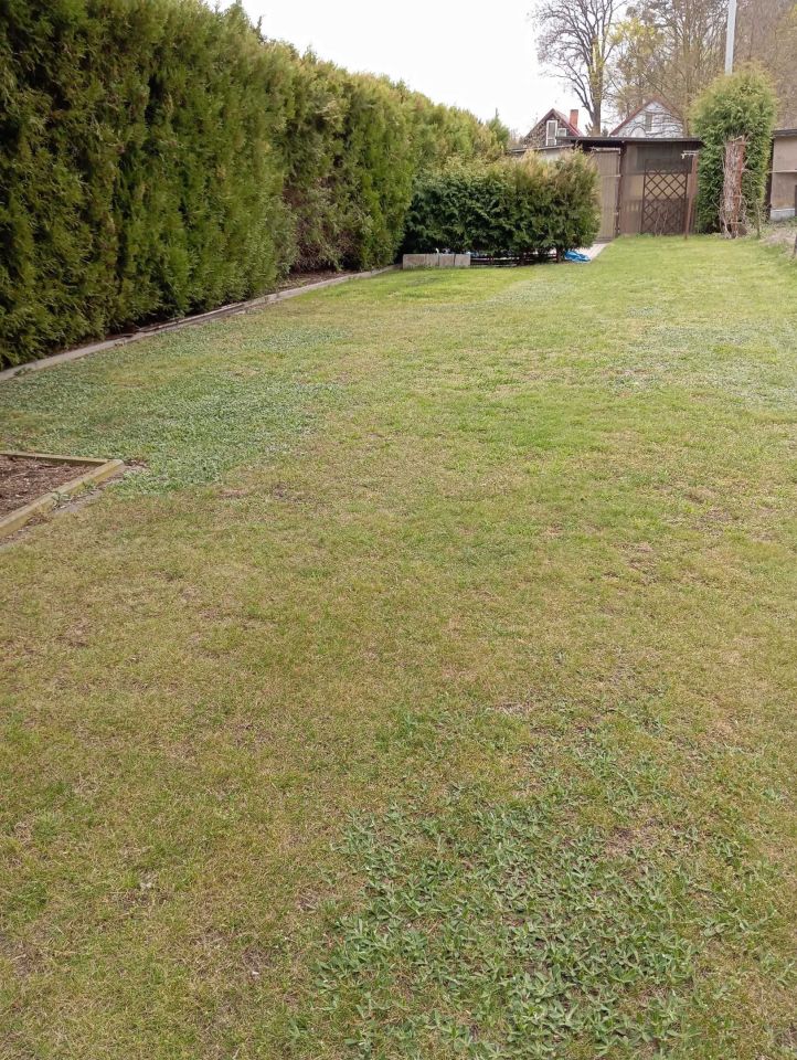 Działka rod Skoki. Zdjęcie 5