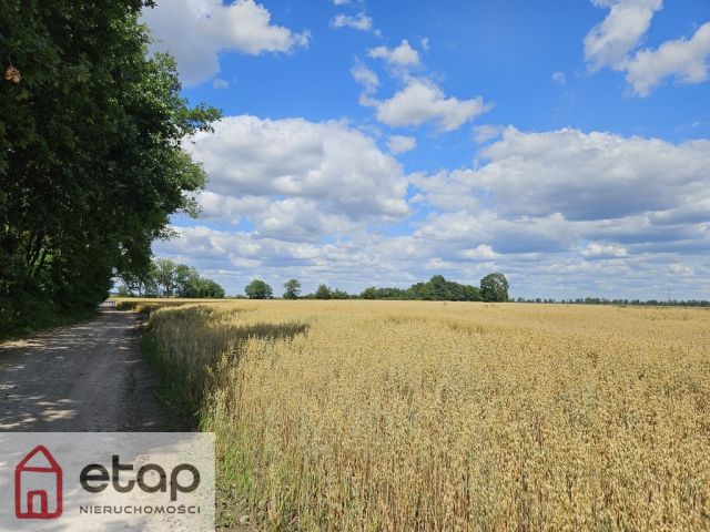 Działka budowlana Zborowo. Zdjęcie 4
