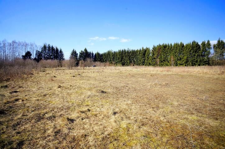 Działka Węgorzewo. Zdjęcie 8