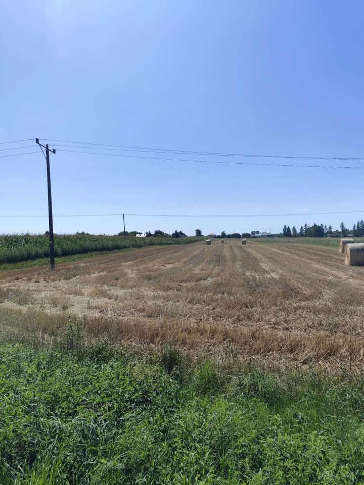 Działka rolno-budowlana Stabrów. Zdjęcie 1