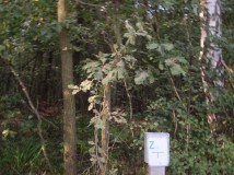 Działka budowlana Papiernia. Zdjęcie 1