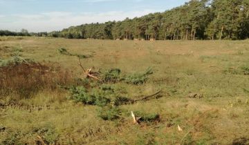 Działka inwestycyjna Licheń Stary, ul. Toruńska