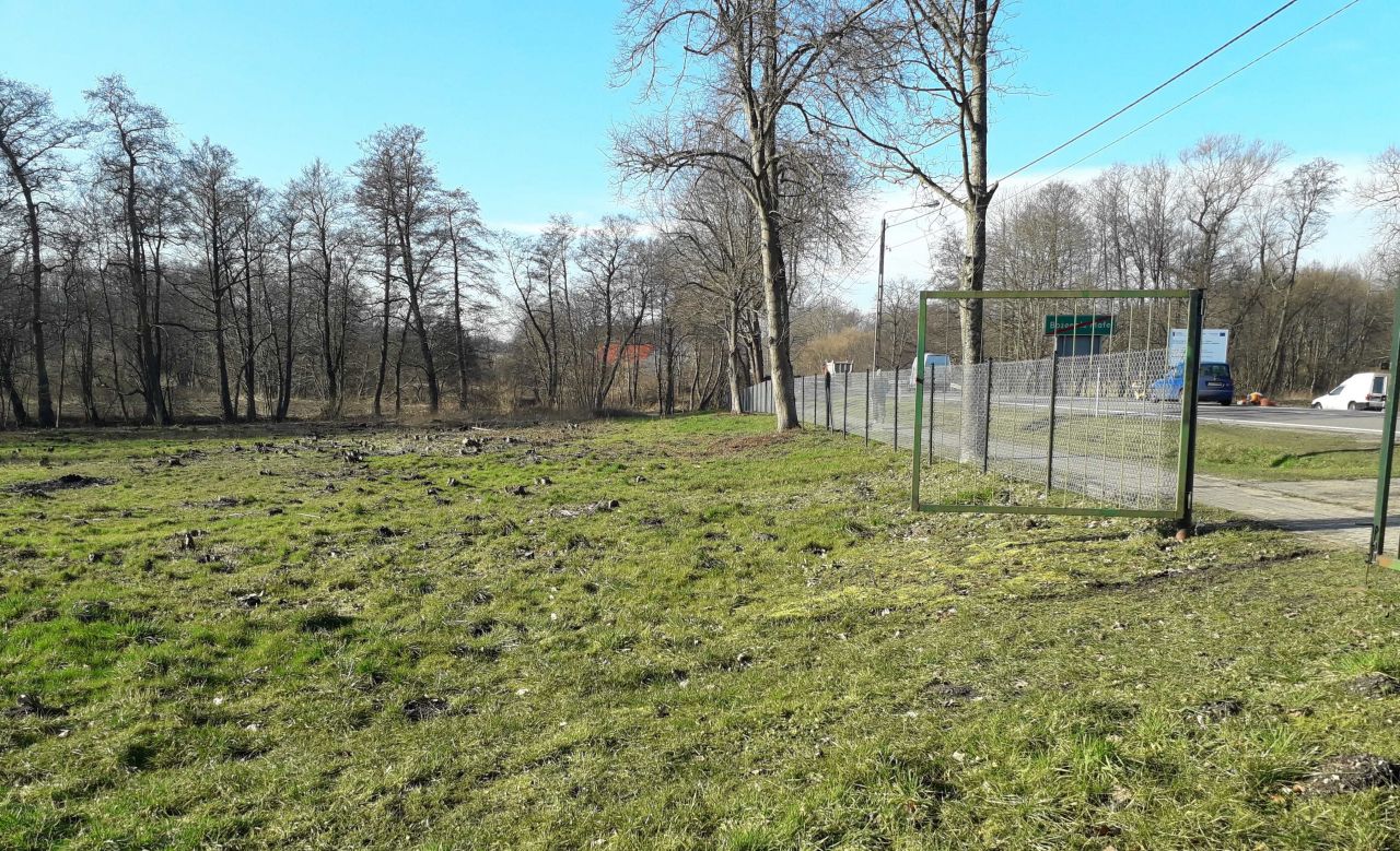 Działka rolna Bożepole Wielkie, ul. Lęborska. Zdjęcie 4