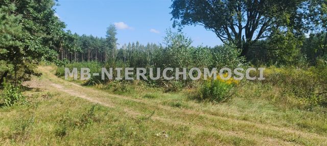 Działka siedliskowa Barczewko. Zdjęcie 3