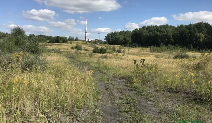 Działka Wodzisław Śląski Wilchwy, ul. Stefana Czarnieckiego