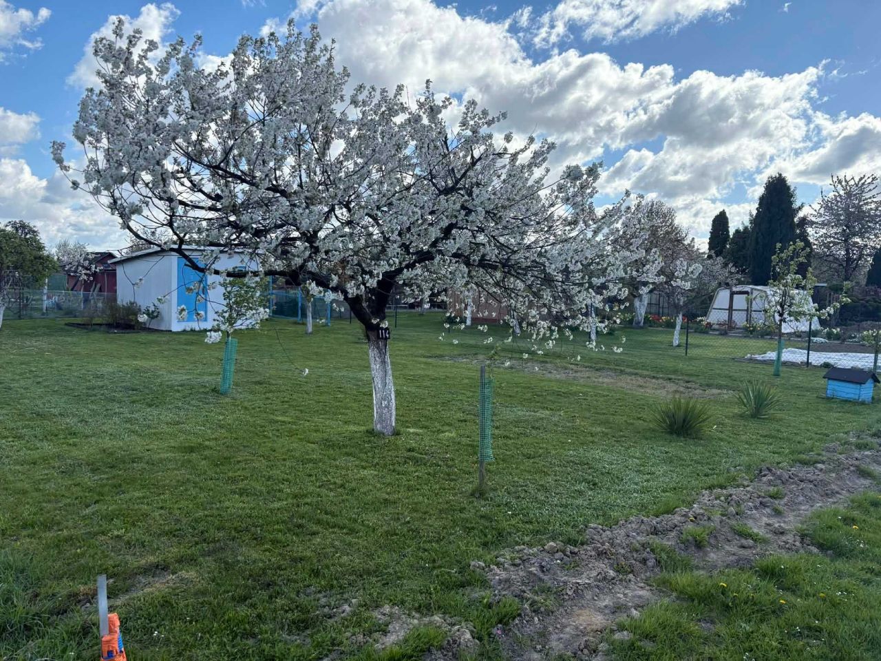 Działka rod Oleśnica, ul. Trakcyjna. Zdjęcie 1